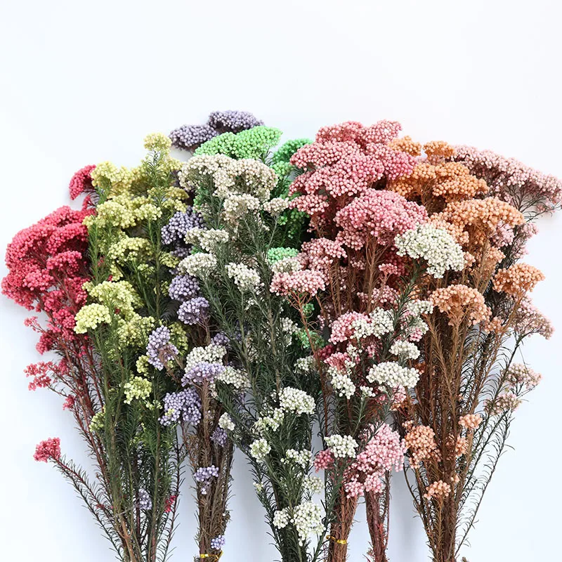 Natural Dried Flowers Millet Flowers DIY Dried Bouquet Floating Flowers Wedding Party Home Decor Flowers