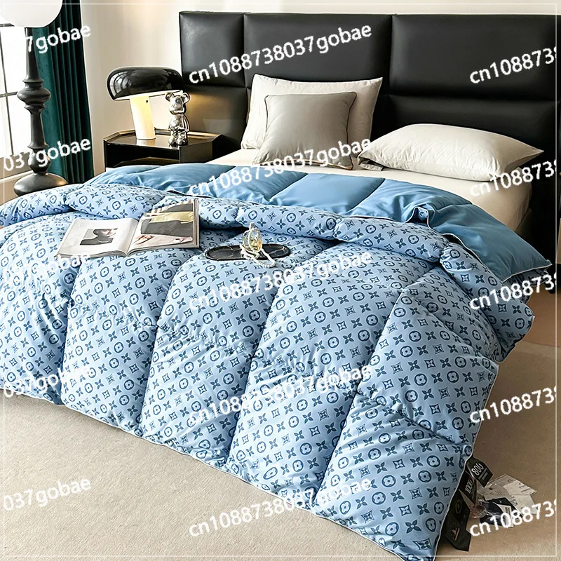 goose down high-end spring and autumn quilt core winter  five-star hotel velvet