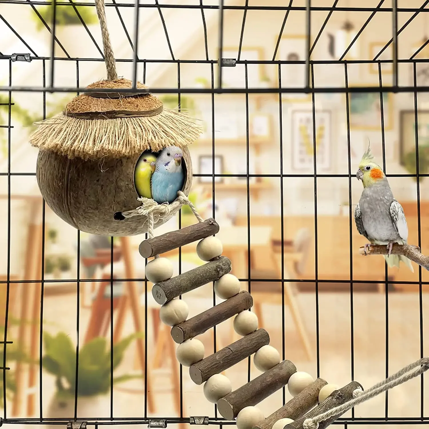 Bird's Nest Coconut Nest Warm Coconut Shell Nest Coconut Shell Breeding with Ladder Toy Cage Landscape Products