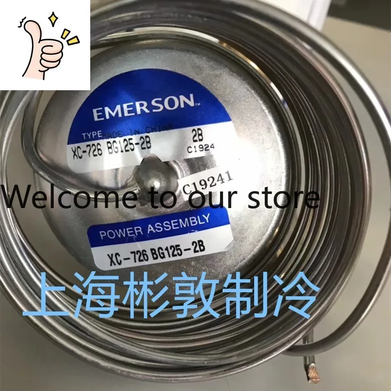Emerson Expansion Valve, Emerson Power Head Temperature Sensing Package XC-726BG125-2B R23
