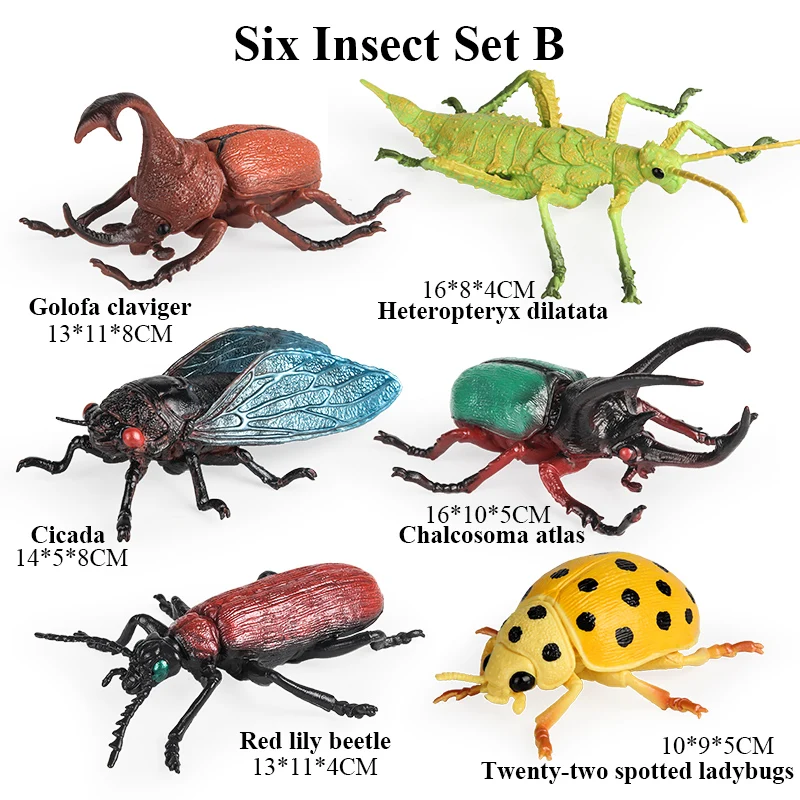 Oenux Nieuwe Insecten Dieren Set Actiefiguren Bos Vlinder Bee Spider Lieveheersbeestje Bidsprinkhaan Model Beeldjes Kinderen Onderwijs Gift Speelgoed