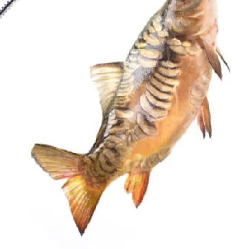 

Fishing Hook Detacher Hangable Rapid Decoupling Device Lightweight Fishing Hook Quick Removal for Saltwater Freshwater Fishing