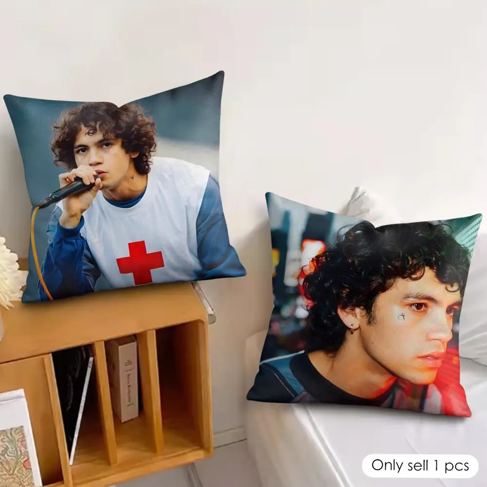 Singer D-Dominic Fike Cushion Cover Wrinkle-Resistant Short Plush Pillow Case Breathable Machine-Washable