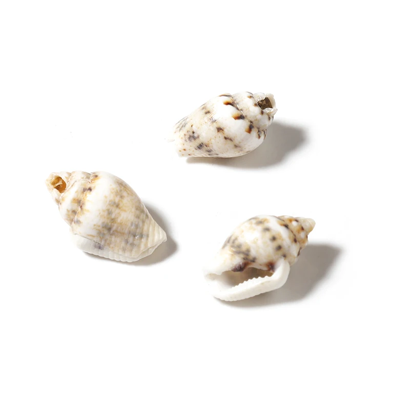 100Pcs Sea Shell Charms Tiny Conch Cowrie Shells Beads For Jewelry Making Accessories DIY Necklaces Bracelet Pendants