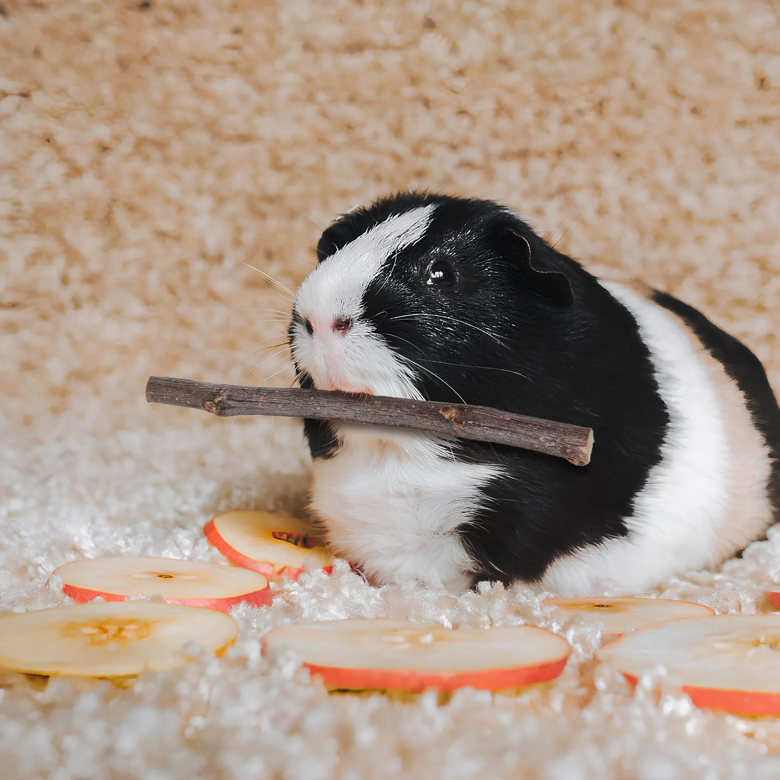 

55Pcs Wood Chewing Sticks Small Animal Chew Sticks Rabbit Bunny Tooth Grinding Chews for Hamsters Chinchillas Rabbit Chew Toys