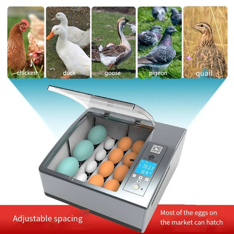 Mesin Inkubator Telur Otomatis/Mesin Inkubator untuk Menetaskan Telur/Inkubator untuk Telur