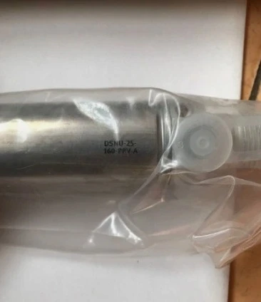 Brand New 1Pcs DSNU25-160-PPV-A Standard Cylinder Hot Selling Products Fast Delivery