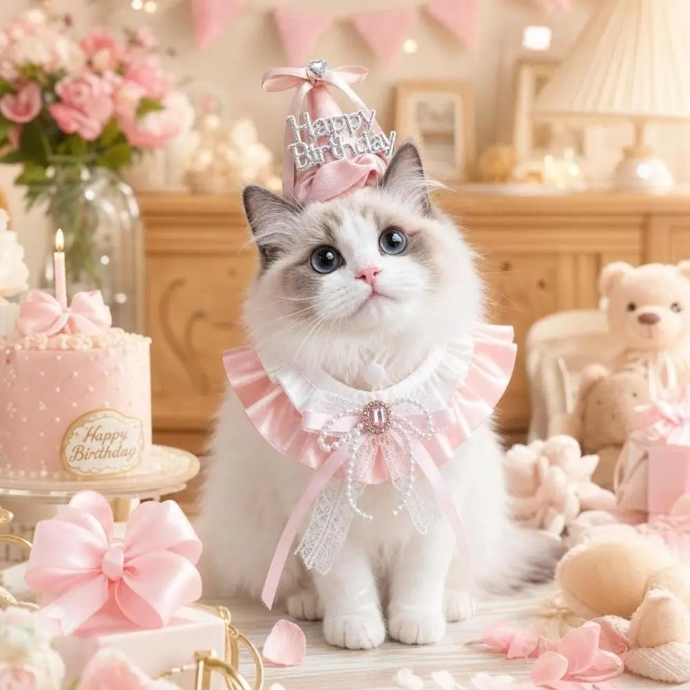 Durable Diamond Detail Pet Birthday Hat Pearl Bow Hat Collar Set Pet Party Outfit Pet Bow Collar Pet