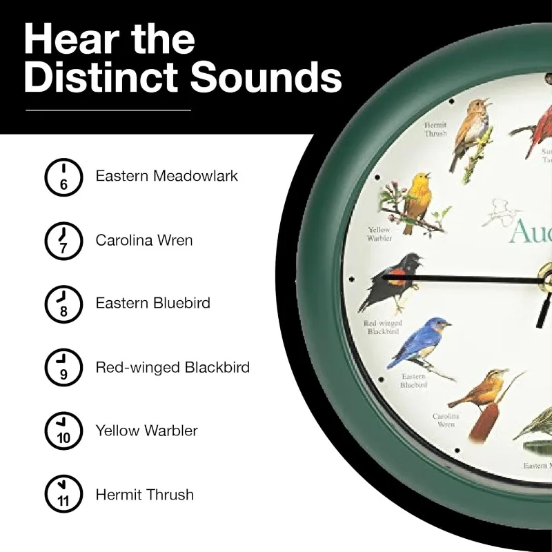 Часы Audubon Singing Bird, 8 дюймов, зеленые