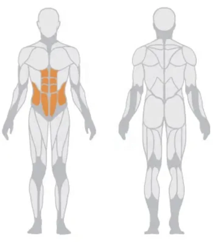 2025년형 상업용 헬스장 기구 근력 운동 기구 복근 운동 기구 오블리크 크런치 복근 운동 기구