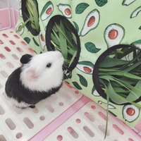 Hanging Hay Feeder Bag for Rabbits Guinea Pigs, Anti-Waste Oxford Cloth Small Animal Feeding Pouch with 3 Holes