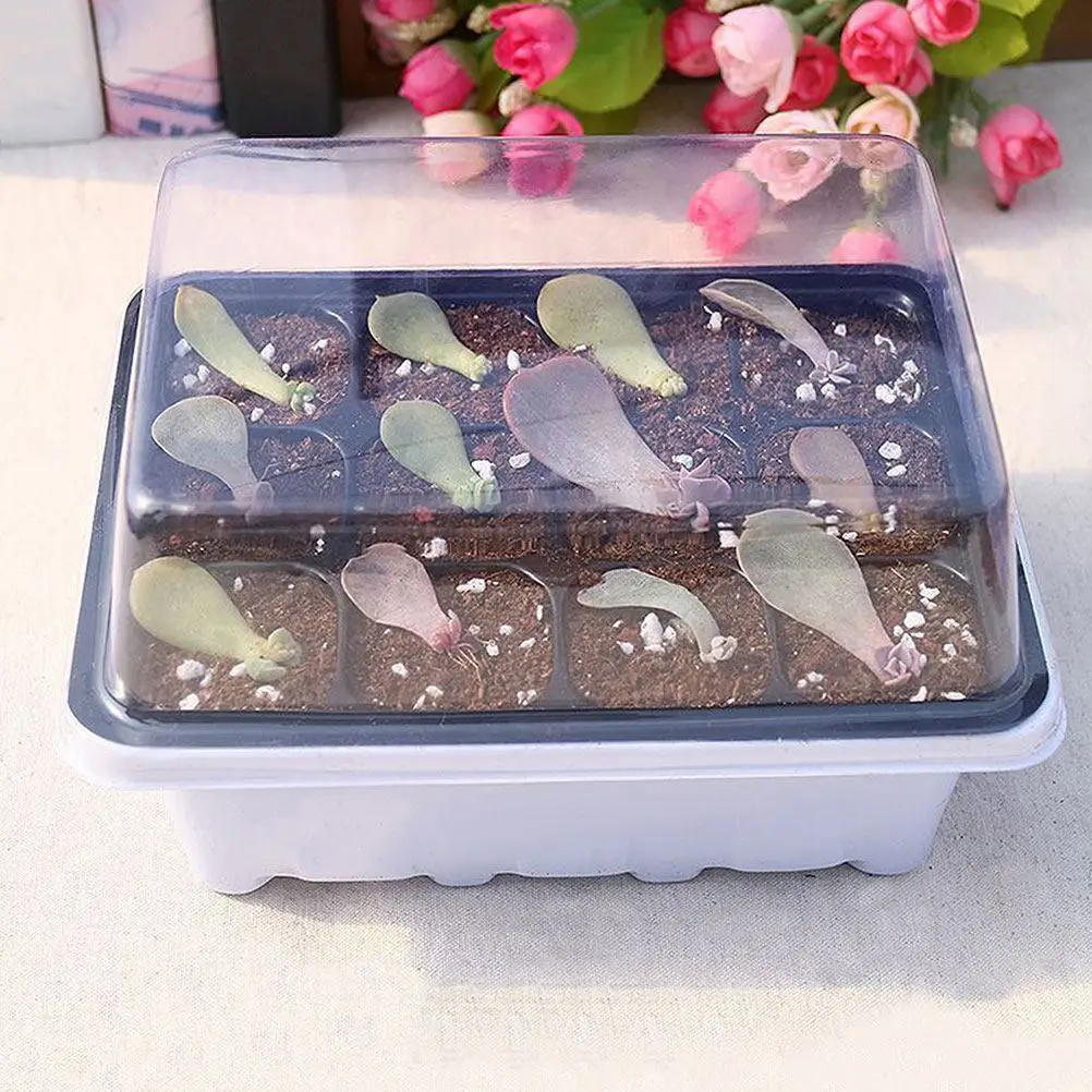 

6Pcs Premium Plant Starter Boxes Compact Lightweight Germination Nursery Trays for Succulent Vegetable Flower Seed Starting