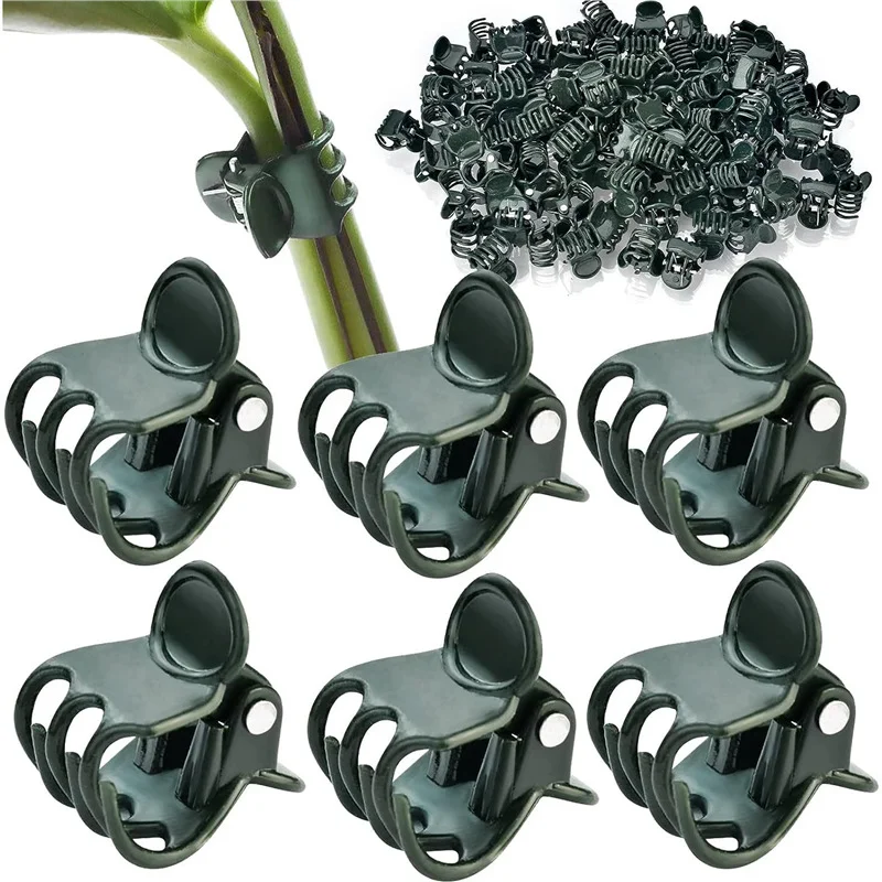 Dark Green 20/30/50PCS 6-Claw Plant Clips Climbing Stem Clasp Tied Orchid Flowers Support Clamp Bundle Branch Garden Supplies