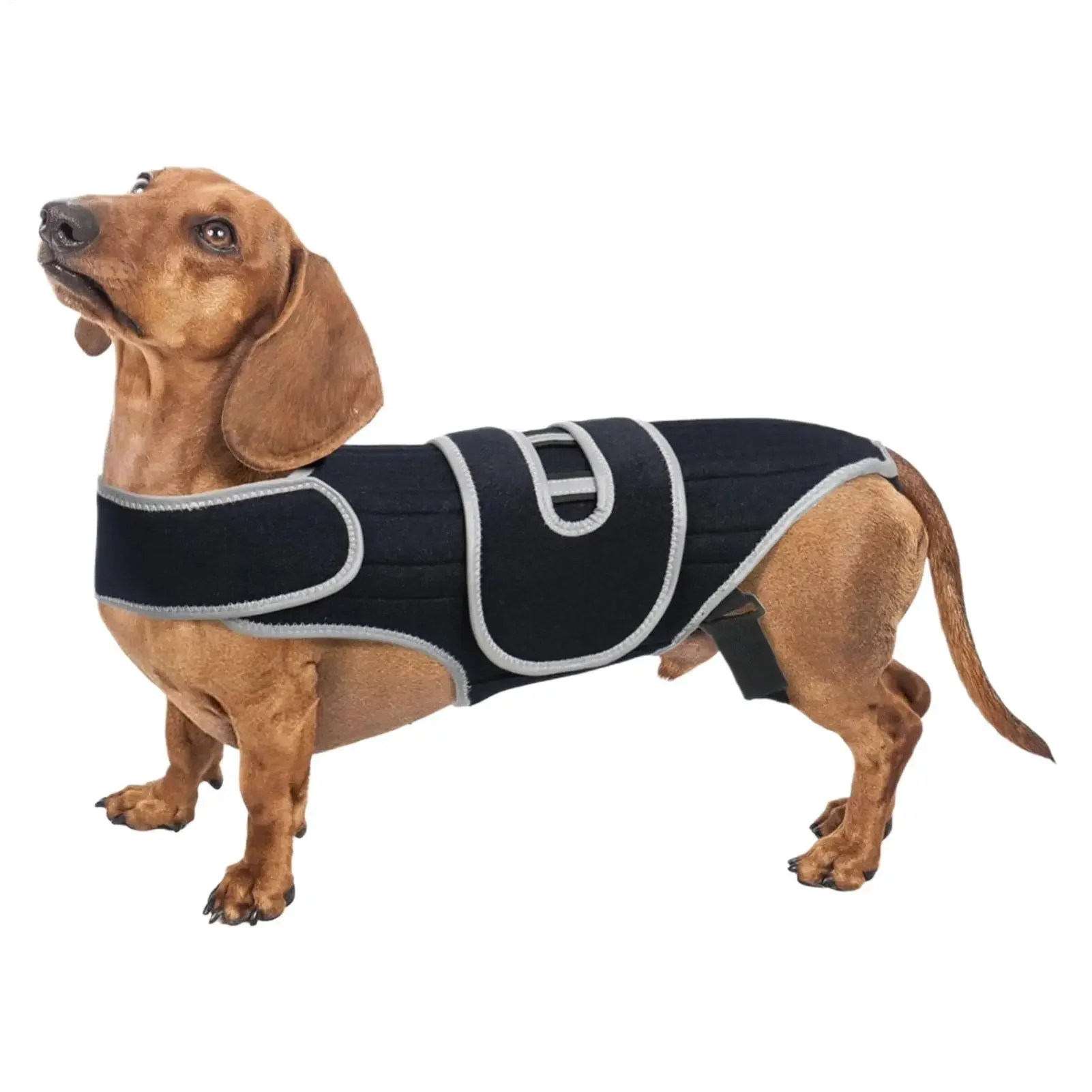 Dog Back Support Adjustable Spinal Stability Vest with Small Support Strap Suitable for Stair Treads Jogging Home Outdoor Travel