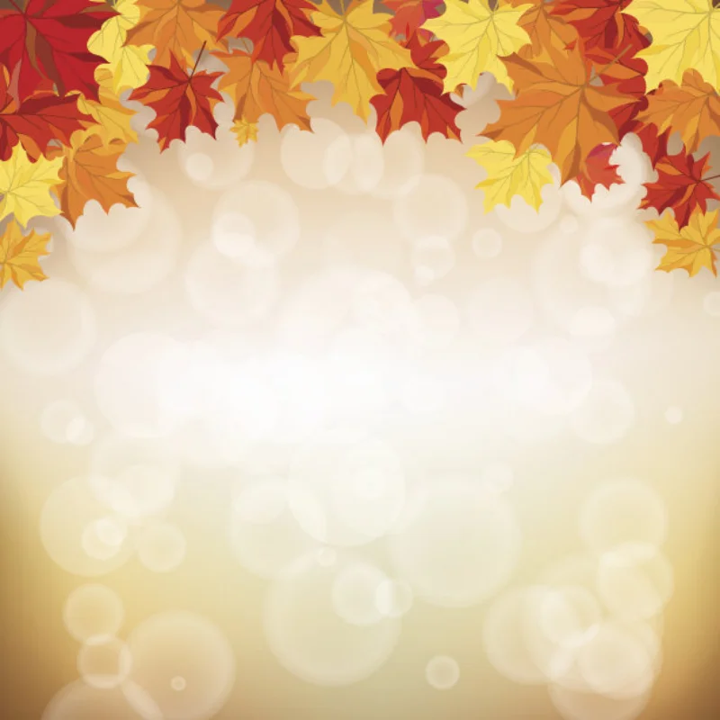 

4PCS 12mm Metal Wheel Hex Hub Adapter with Brake Disc for Tamiya TT02 TT-02 1/10 Scale RC Racing Car Accessories