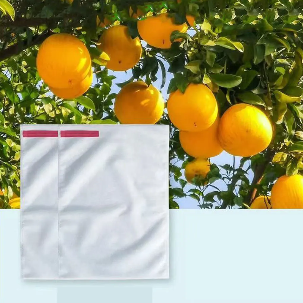 Sacos transparentes e respiráveis do engranzamento para a proteção do fruto, aplicação larga, 100pcs