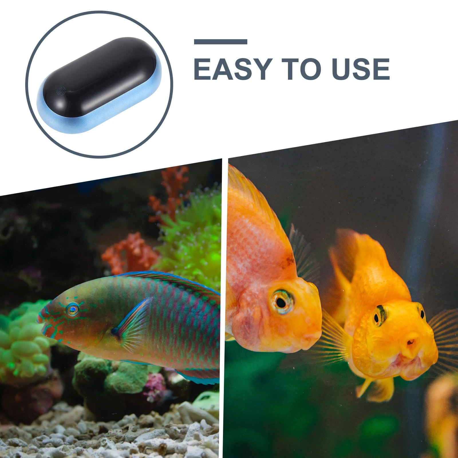 

Digital Aquarium Thermometer Water Temperature Screen Display Mini Bowl Fish Tank Measure Tool Stainless Steel ABS Durability