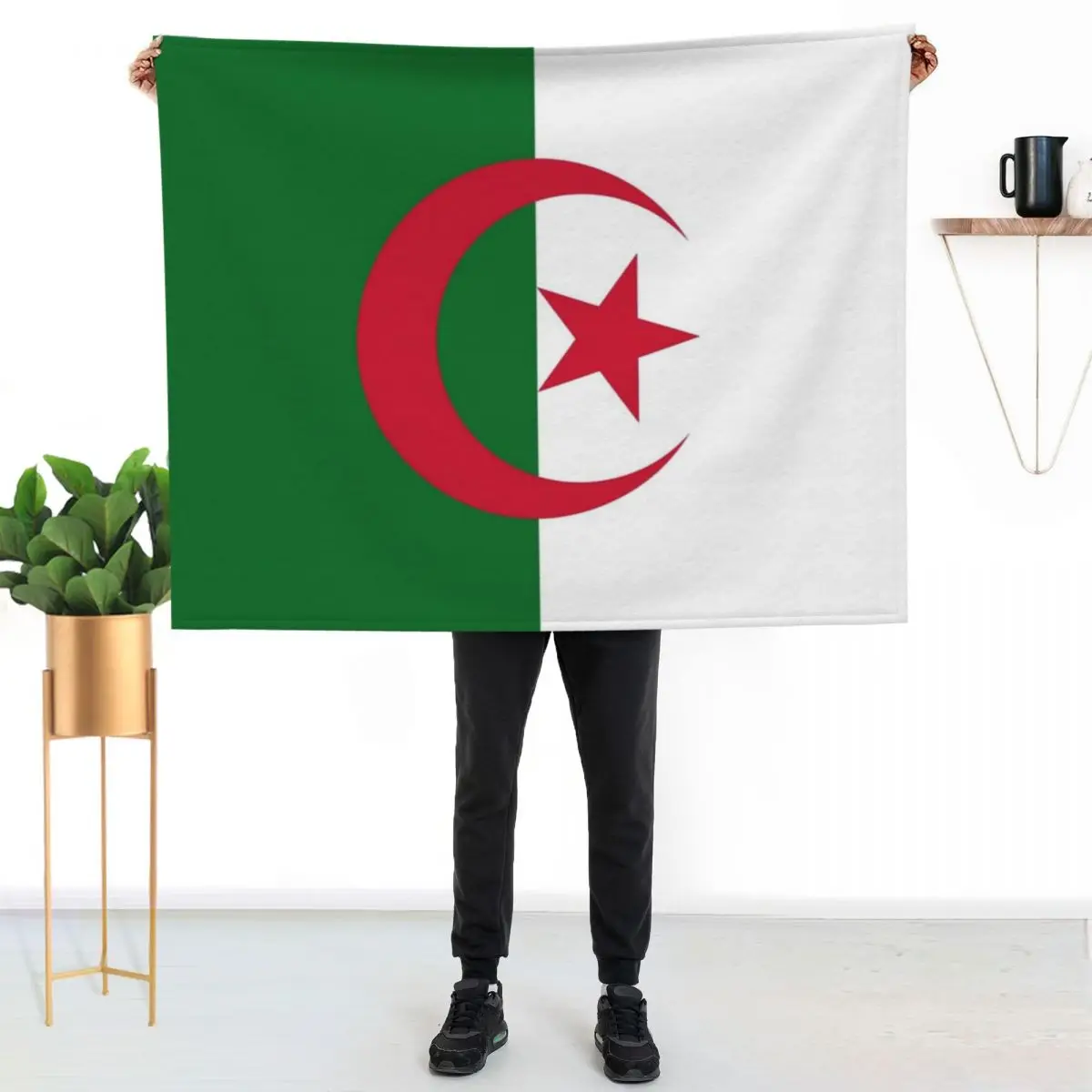 Algeria Flag Throw Blanket couch cozy soft plush fuzzy picnic outdoor blanket