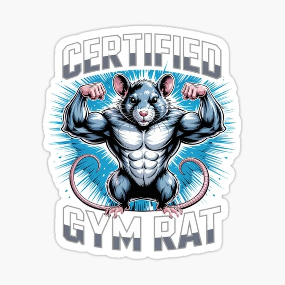 Certified Gym Rat Funny Inappropriate Adult Humor Meme  Sticker for Laptop Decor Bedroom Car Cute Cartoon Art Fashionable Public