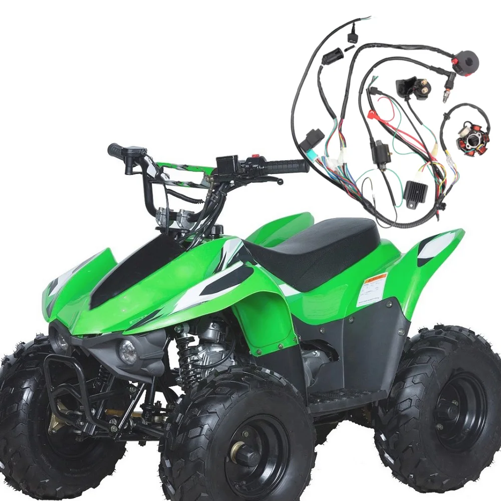 

Complete Electrics Wiring Harness Loom CDI Coil for 50cc 70cc 90cc 110cc 125cc Motorcycle ATV Quad Pit Bike Buggy Go Kart