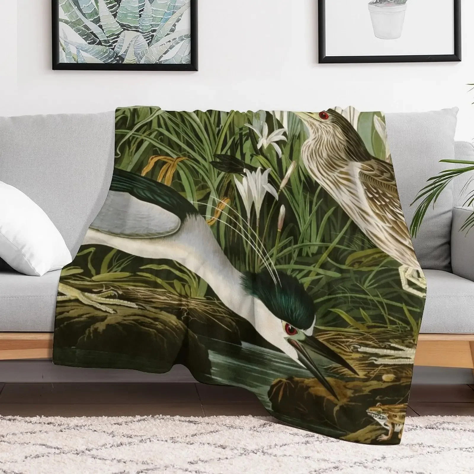 Night Heron - John James Audubon Birds of America Throw Blanket Camping Luxury Designer Custom anime Blankets