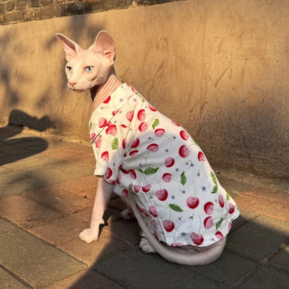 Sweet Red Cherry Shirt for Sphynx Cat Summer Fashion Soft Blouse For Kittens with Big Belly Spring Over Size Coat for Devon Rex