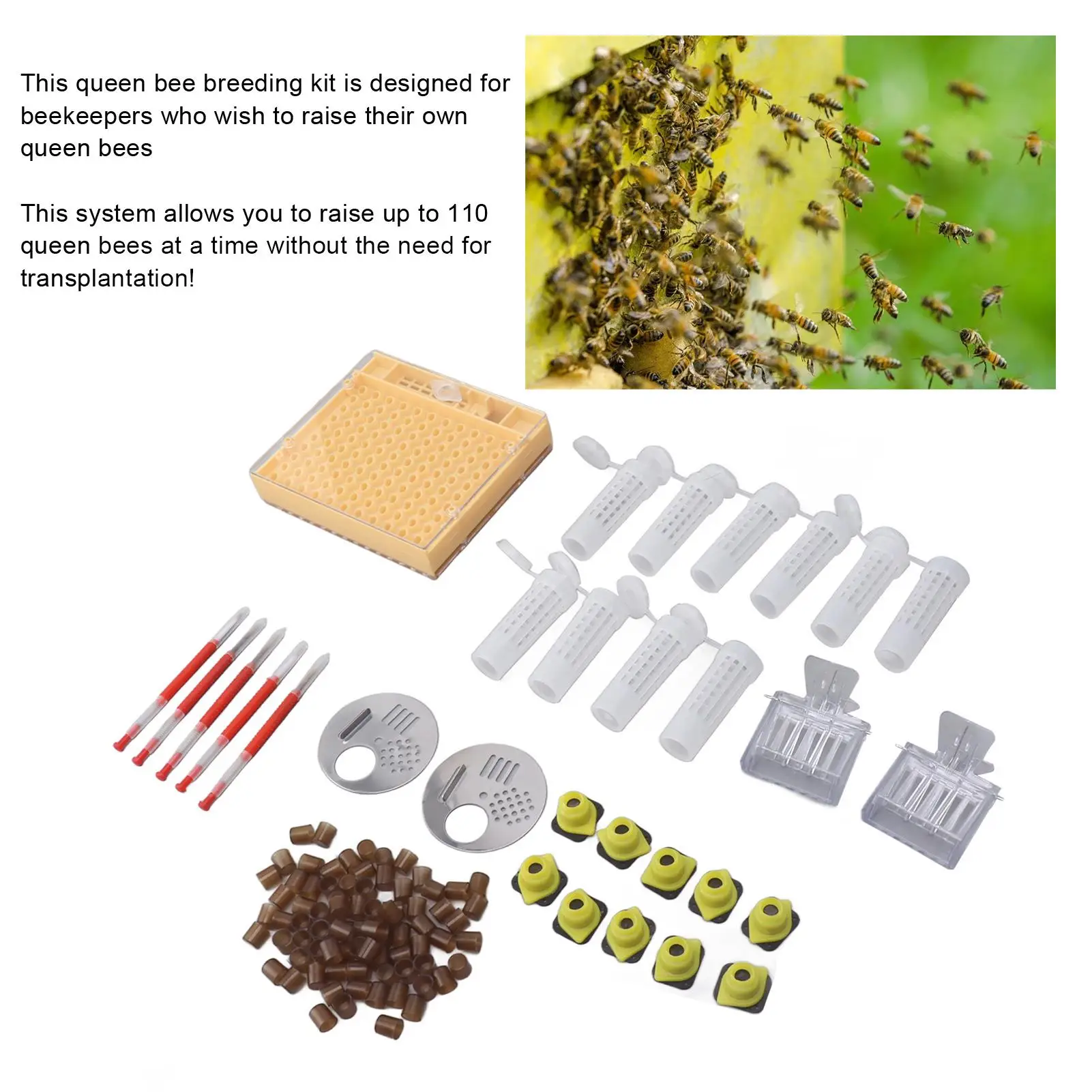 Queen Bee Rearing Box Durable Plastic Kit for beekeeping Hive Management and Breeding Equipment