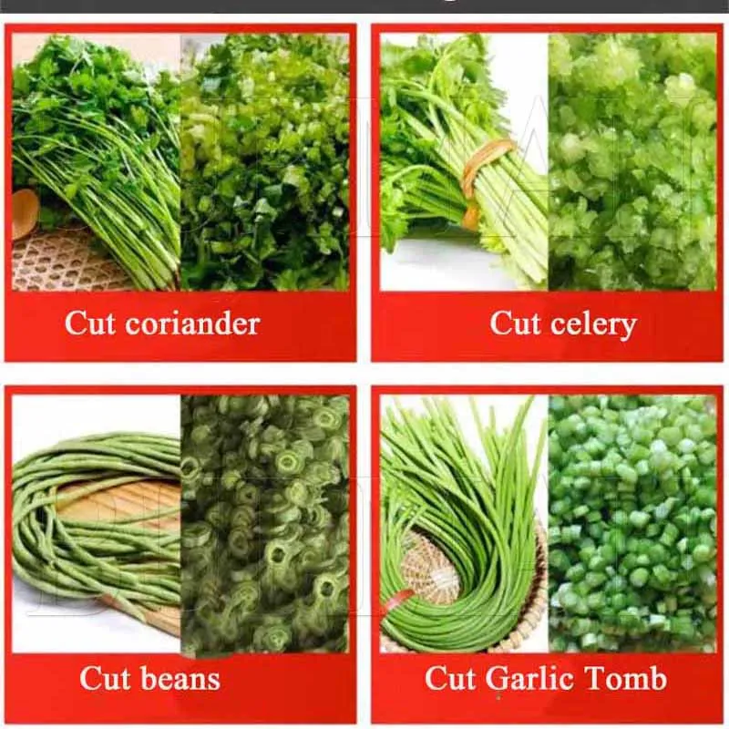 220V Commercial Vegetable Slicer Cutting Scallions Celery Into Sections Stainless Steel Multifunctional Slicer view 6