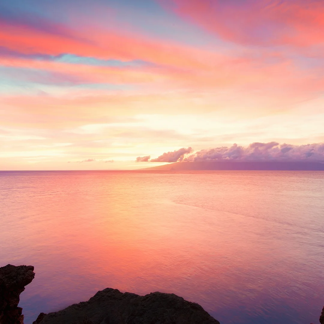 2025 New Android Fo… - image