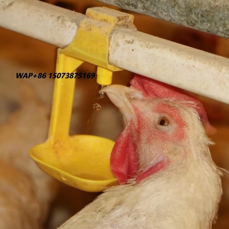 Poultry Farm Animal Feeders Automatic Feeding Line Poultry Equipments Line Feeding Chicken Feeder