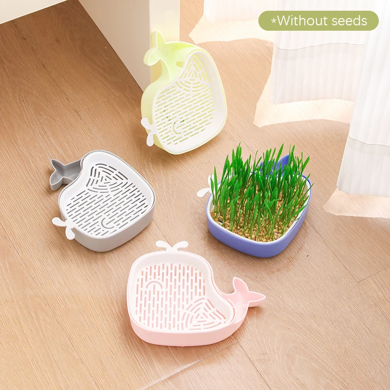 Creative Whale Shape Cat Grass Planter Layered Design Pot Cat Grass Soilless Hydroponic Sprout Tray Hollow Planting Box