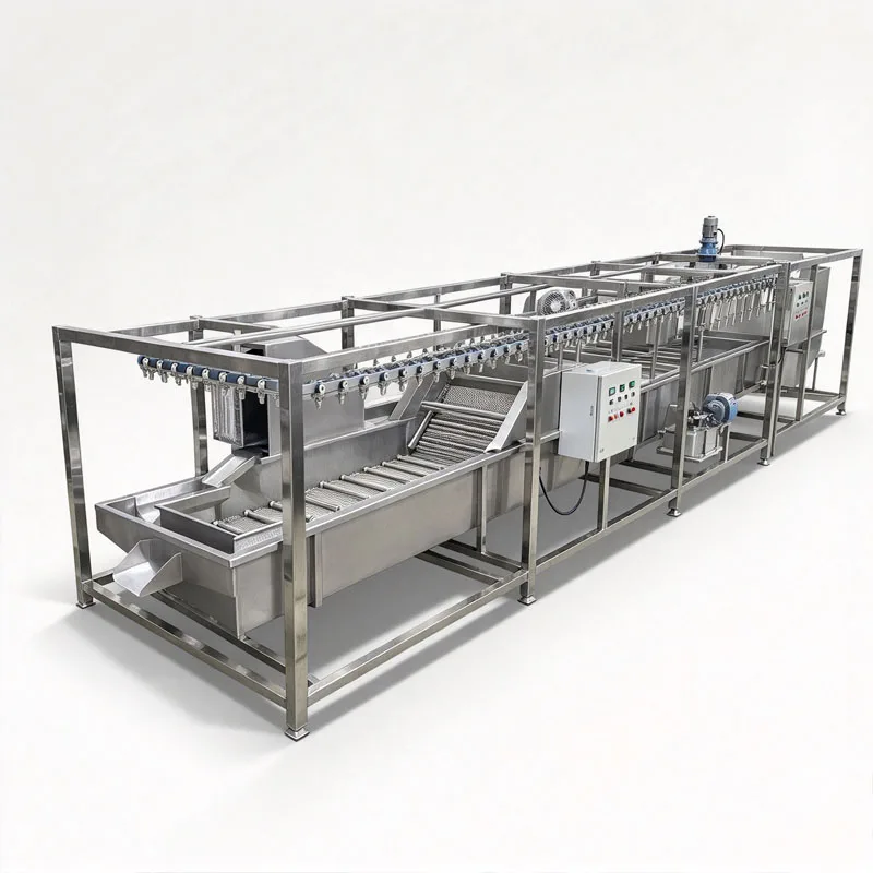 Full Set Chicken Slaughter Line Poultry Processing Production Equipment Customized