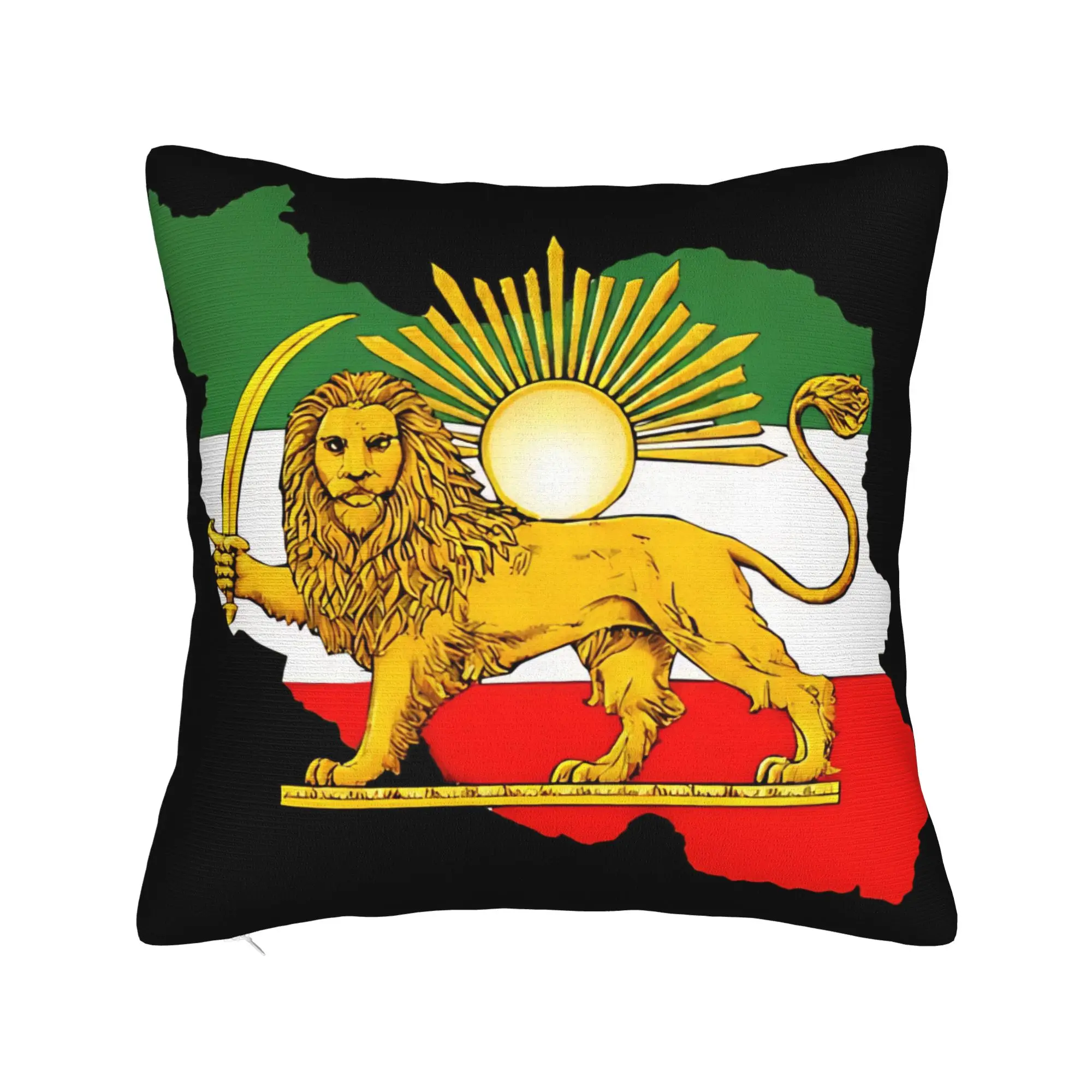 

Чехол для подушки с картой Ирана, львом и солнцем, винтажный персидский стиль, для офиса, автомобиля, домашнего декора