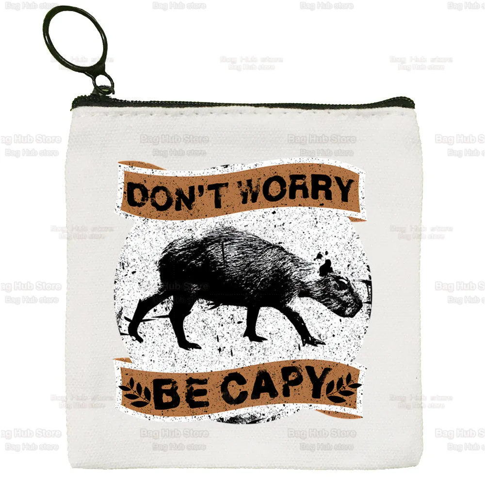 Capybara Capibara quadratische Tasche Münz geldbörse Aufbewahrung Cartoon keine Sorge cacy kleine Tasche Karten tasche Schlüssel tasche Münze Clutch Tasche Reiß verschluss