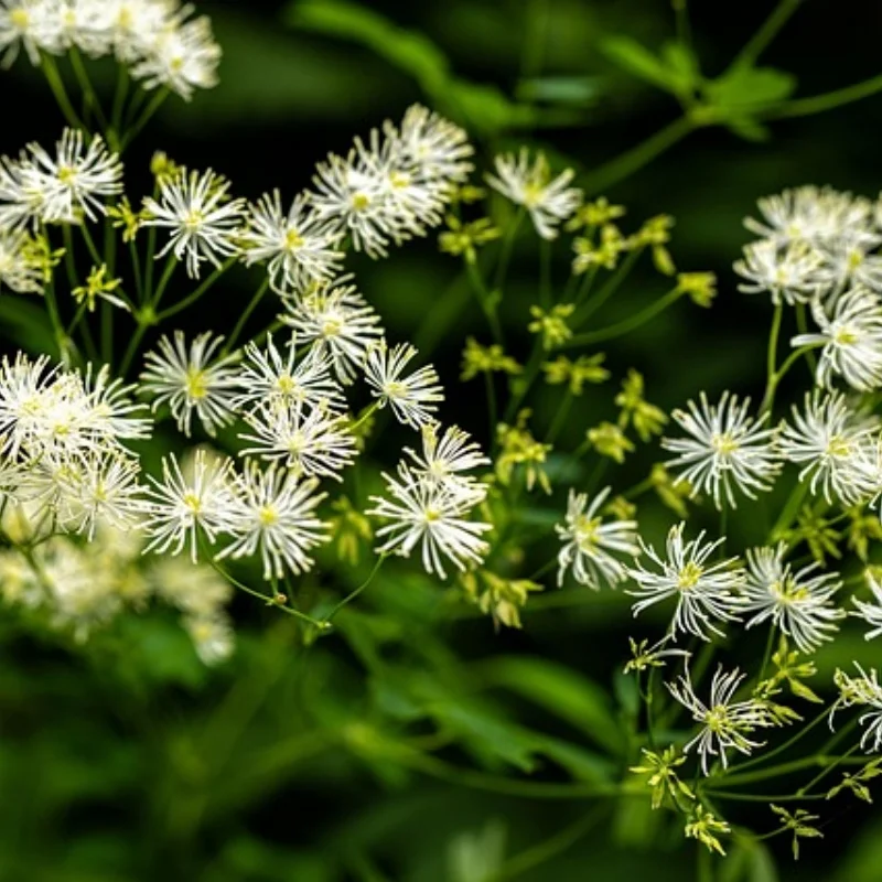 

Для MK07 JK07 металлическая петля для капота, декоративные аксессуары, детали для обновления радиоуправляемого автомобиля 1/7