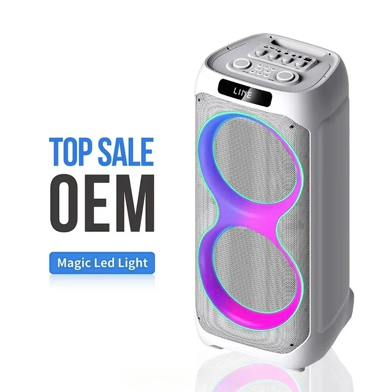 

LT-2233 Professional Large Speakers Portable PA Speaker System Sound Box With Dual 12" Woofers Tweeter And Party Light