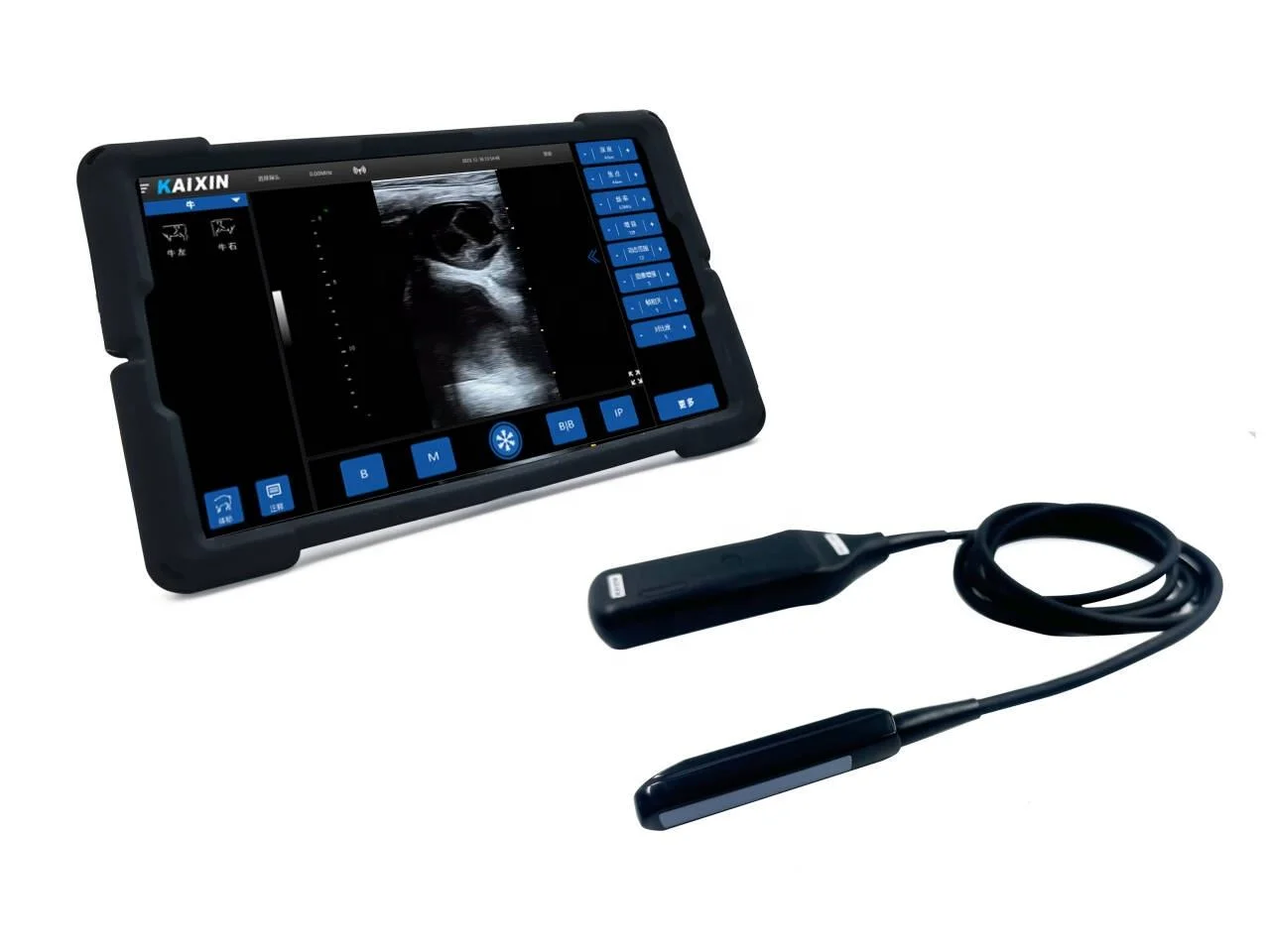 New Arrival Best-Sellingfor Kaixin Handheld Veterinary Ultrasound K6 and Animal Ultrasound with High Quality for Vet