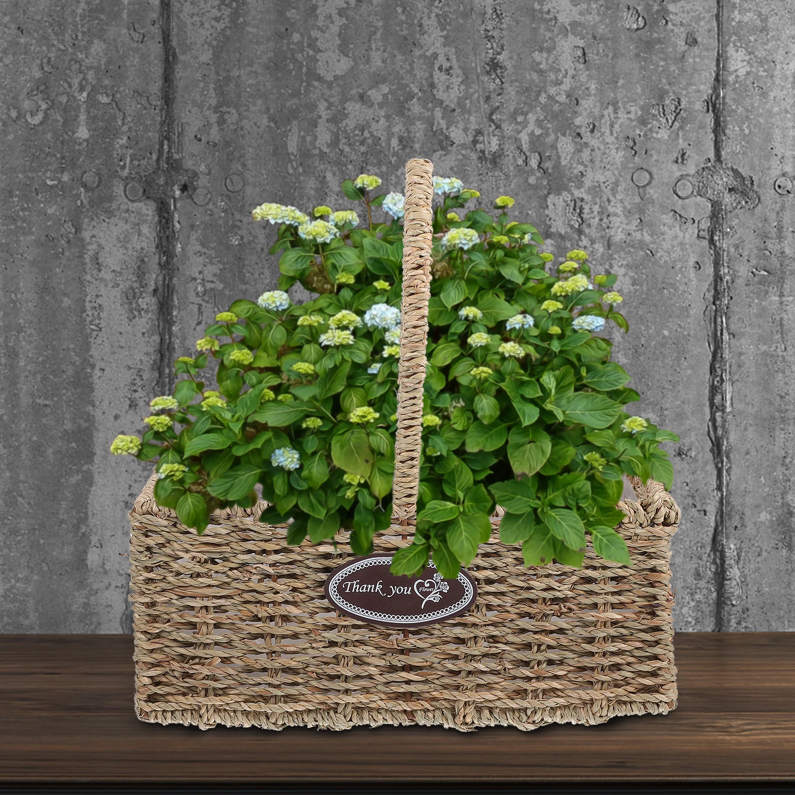 

Handmade Straw Rope Weaving Flower Basket Wall Hanging Decor for Indoor Outdoor Garden Planters Living Room Balcony Floral