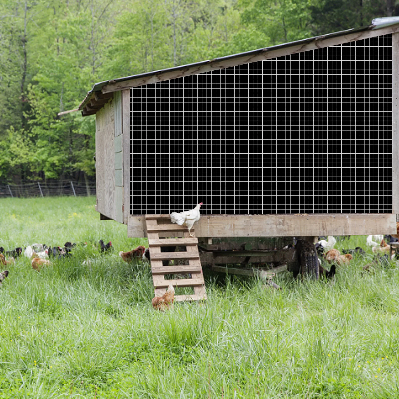 1/2inch Hardware Cloth Galvanized Square Chicken Wire Welded Poultry Fence Mesh Rolls Netting Raised Garden Rabbit Fence