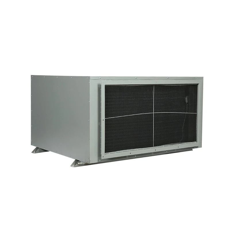 Ceiling Pipe Industrial Dehumidifier, Dehumidifier, Large Workshop Commercial and Household Wall-mounted