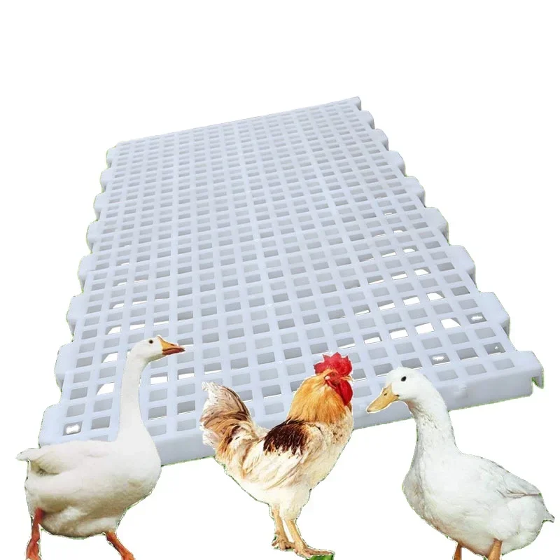 

plastic flooring large plastic floor mat pure material poultry plastic floor tile