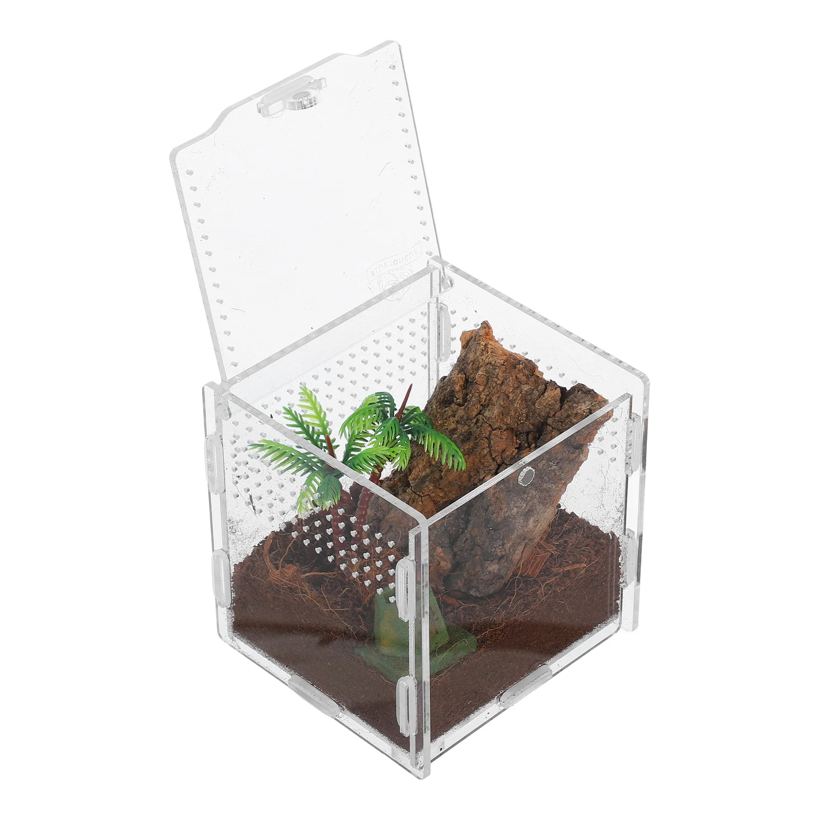 

Pet Spider Box Mini Terrarium Escapeproof Habitat Jumping Spider Accessories Gecko Tank Chameleon Cage Small Noncapturing