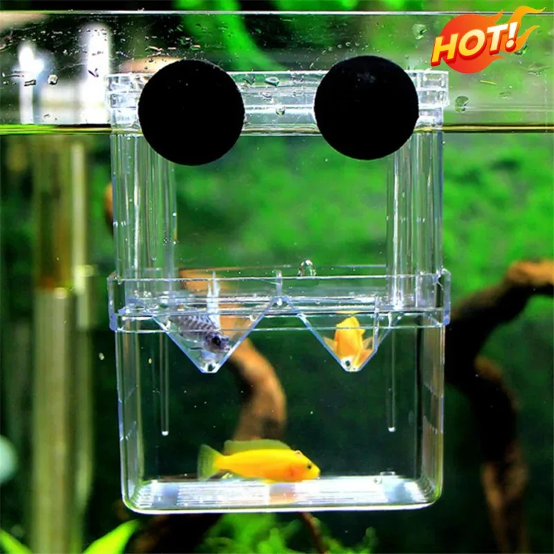 Aquarium breeding box Fish breeding isolation box Fish hatching box Acrylic divider shrimp clownfish to prevent attacks