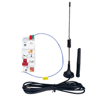 Smart-Graffiti Wifi Metering With Leakage Protection Electric Gate Household 1P Circuit Breaker 63A Timer Master Switch,Type A D