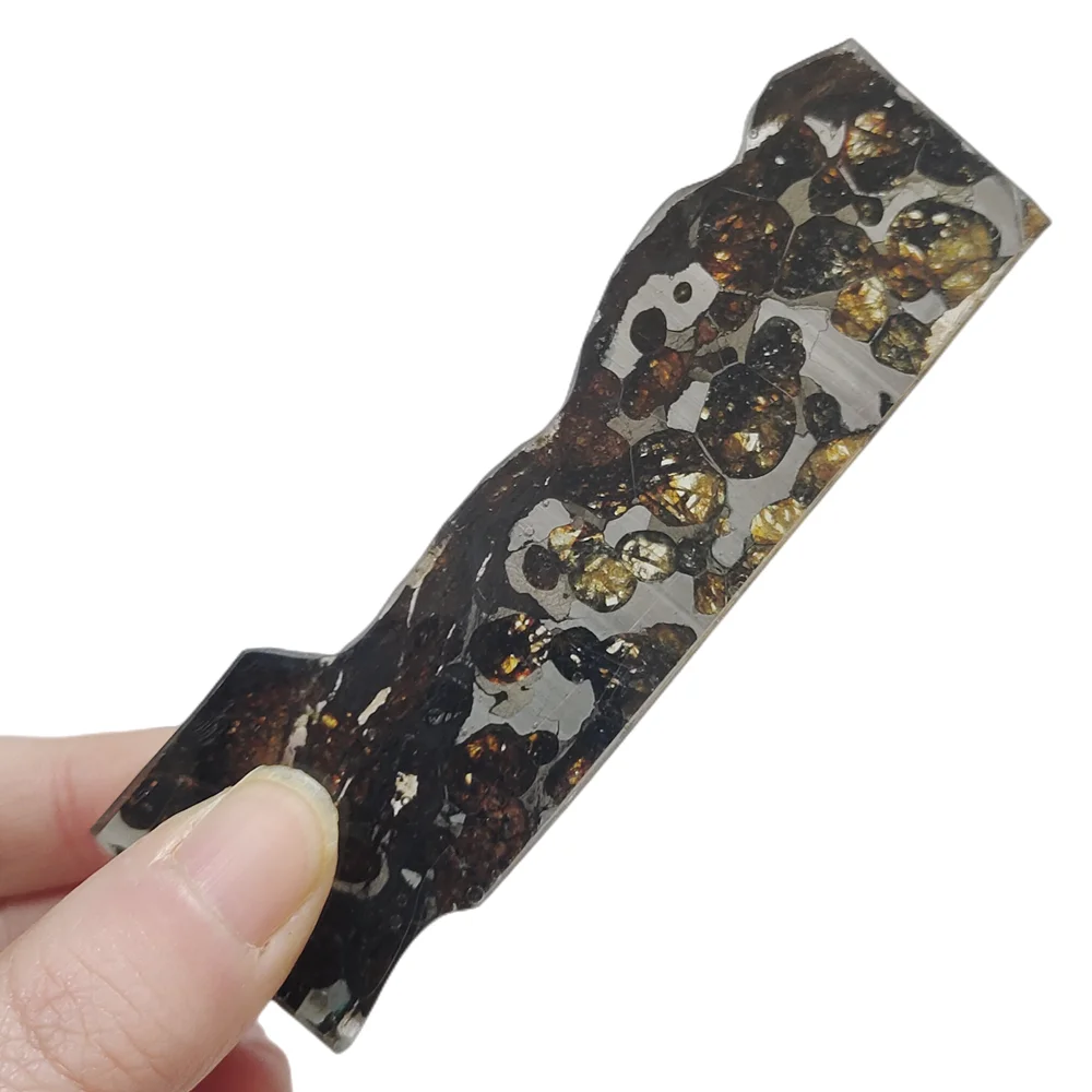 Brenham Olive Meteorite Specimen Natural Meteorite Material Specimen Olive Meteorite Section Collection