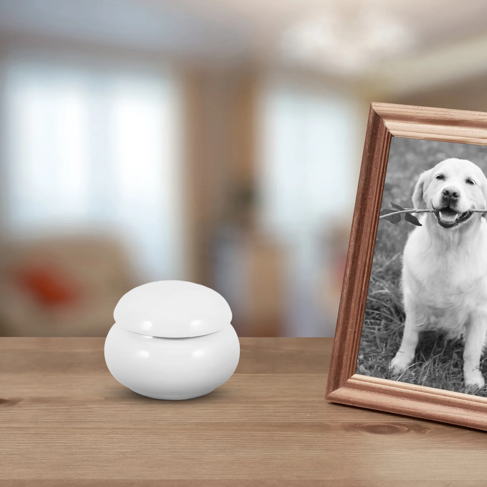 Urna de cerámica para cenizas de perro, urna para cenizas de gato adulto, Mini perros medianos y pequeños, recuerdo