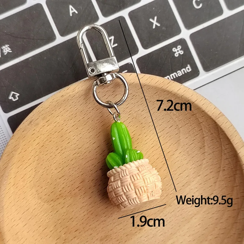 الراتنج ثلاثية الأبعاد الصبار بوعاء المفاتيح كيرينغ للنساء الرجال صديق لطيف الإبداعية عصاري زهرة النبات حقيبة صندوق مفتاح السيارة الملحقات #6