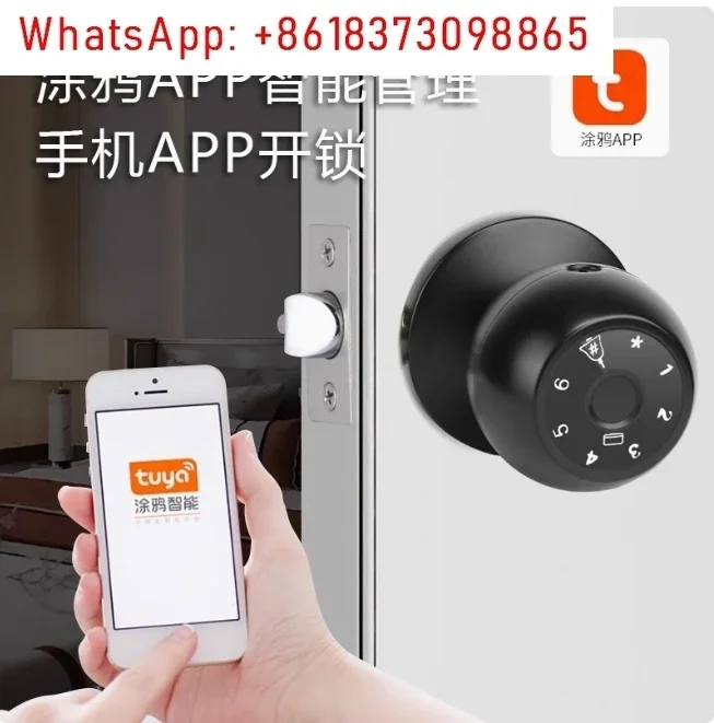 Fingerprint Soor Lock, 1 Count Smart Door Knob with APP/Keypad, Keyless Entry, Biometric Lock