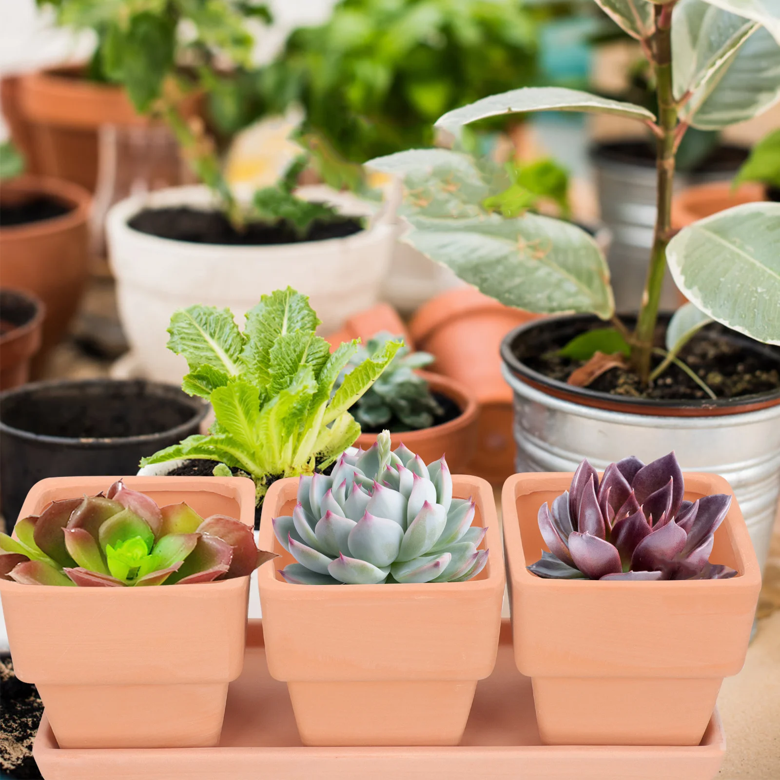 1 مجموعة زهور الطين الأحمر مع صحن الصرف للنباتات الداخلية المنزل مكتب حديقة شرفة ديكور وعاء النبات