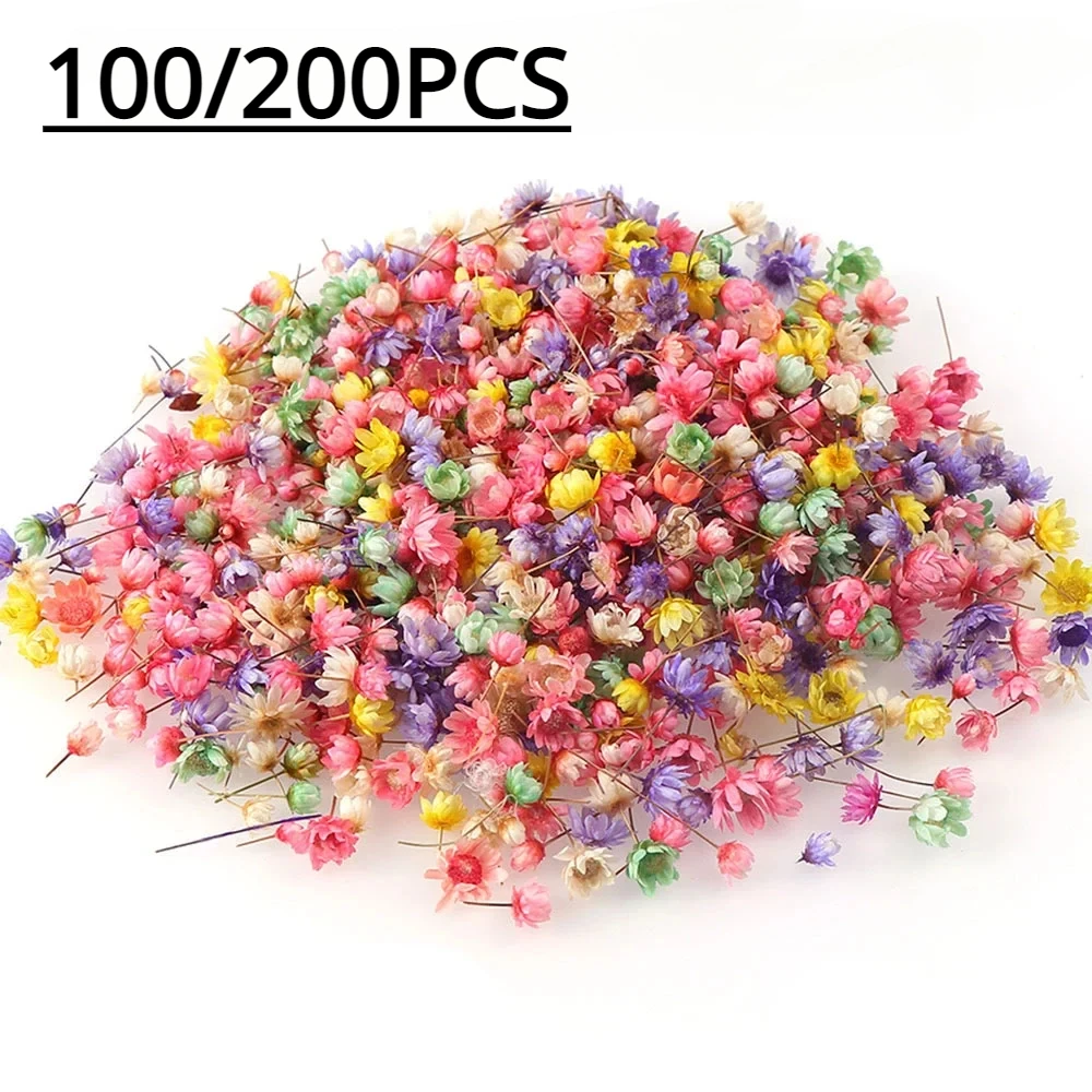 100 Stück künstliche Blumen für Harzformen, kleine Sternblumen, Bastelfüllungen, Epoxidharz-Anhänger, Herstellung, Basteln, Nagelkunst-Dekoration